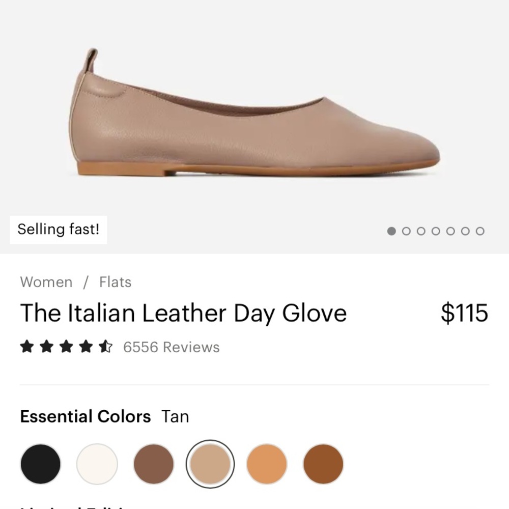 Everlane day glove in tan